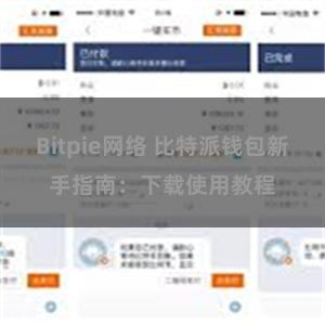 Bitpie网络 比特派钱包新手指南：下载使用教程