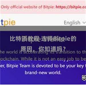   比特派教程 选择Bitpie的原因，你知道吗？