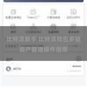   比特派新手 比特派钱包多链资产管理操作指南