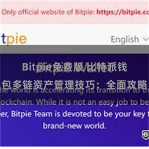   Bitpie免费版 比特派钱包多链资产管理技巧：全面攻略