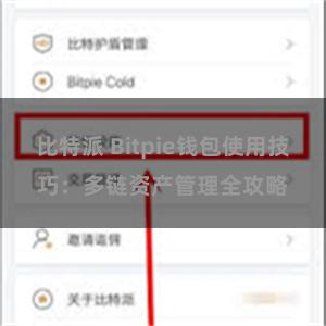   比特派 Bitpie钱包使用技巧：多链资产管理全攻略