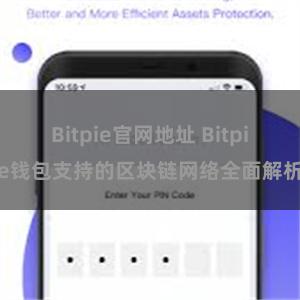   Bitpie官网地址 Bitpie钱包支持的区块链网络全面解析