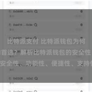   比特派支付 比特派钱包为何是专业用户的首选？解析比特派钱包的安全性、功能性、便捷性、支持性等优势。