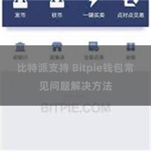   比特派支持 Bitpie钱包常见问题解决方法