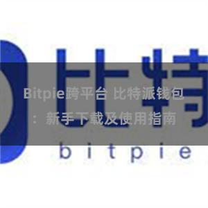   Bitpie跨平台 比特派钱包：新手下载及使用指南