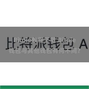   Bitpie教程下载 Bitpie钱包与其他钱包有何不同？