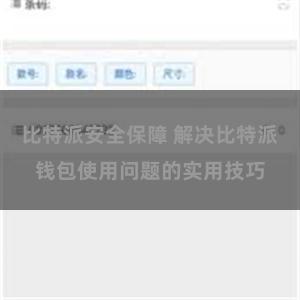   比特派安全保障 解决比特派钱包使用问题的实用技巧