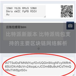   比特派新版本 比特派钱包支持的主要区块链网络解析