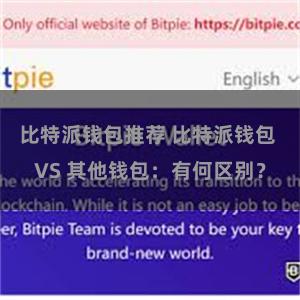   比特派钱包推荐 比特派钱包 VS 其他钱包：有何区别？