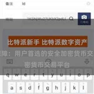   比特派新手 比特派数字资产安全保障：用户首选的安全加密货币交易平台