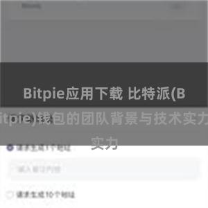 Bitpie应用下载 比特派(Bitpie)钱包的团队背景与技术实力