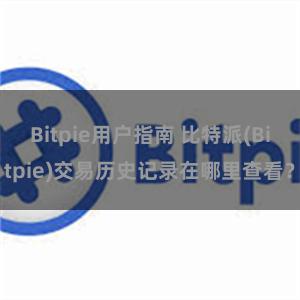   Bitpie用户指南 比特派(Bitpie)交易历史记录在哪里查看？