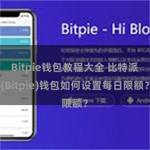 Bitpie钱包教程大全 比特派(Bitpie)钱包如何设置每日限额？