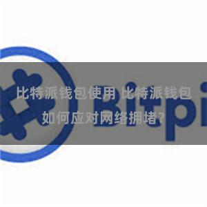   比特派钱包使用 比特派钱包如何应对网络拥堵？