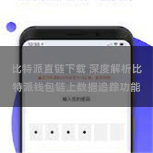 比特派直链下载 深度解析比特派钱包链上数据追踪功能