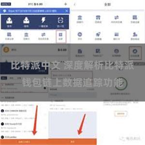 比特派中文 深度解析比特派钱包链上数据追踪功能