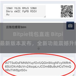 Bitpie钱包直连 Bitpie最新版本发布，全新功能震撼升级