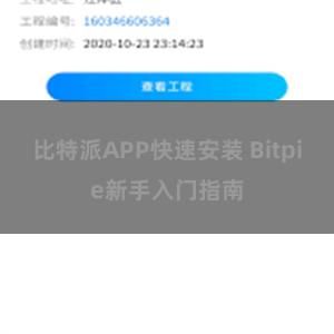 比特派APP快速安装 Bitpie新手入门指南