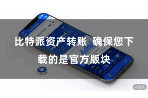 比特派资产转账  确保您下载的是官方版块