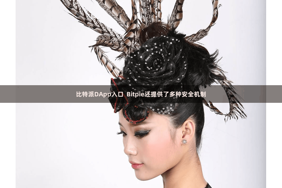比特派DApp入口  Bitpie还提供了多种安全机制